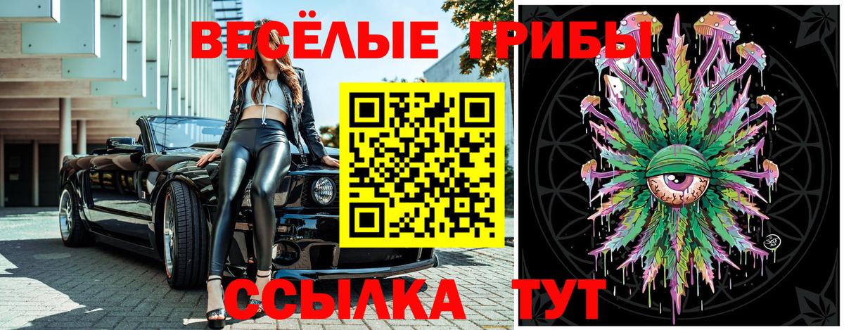 Псилоцибиновые грибы прущие грибы Прокопьевск
