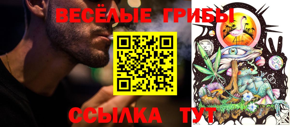 Псилоцибиновые грибы MAGIC MUSHROOMS  купить закладку  Прокопьевск  Вход с VPN  Псилоцибиновые грибы прущие грибы 
